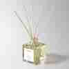 Fig leaf селективный аромат | Lab Fragrance